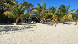 A sandy beach with palm trees and a building in the background. - Hidden Gem: 3-Bedroom Infinity Pool Villa on Beach (Placencia)