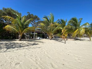 On the beach