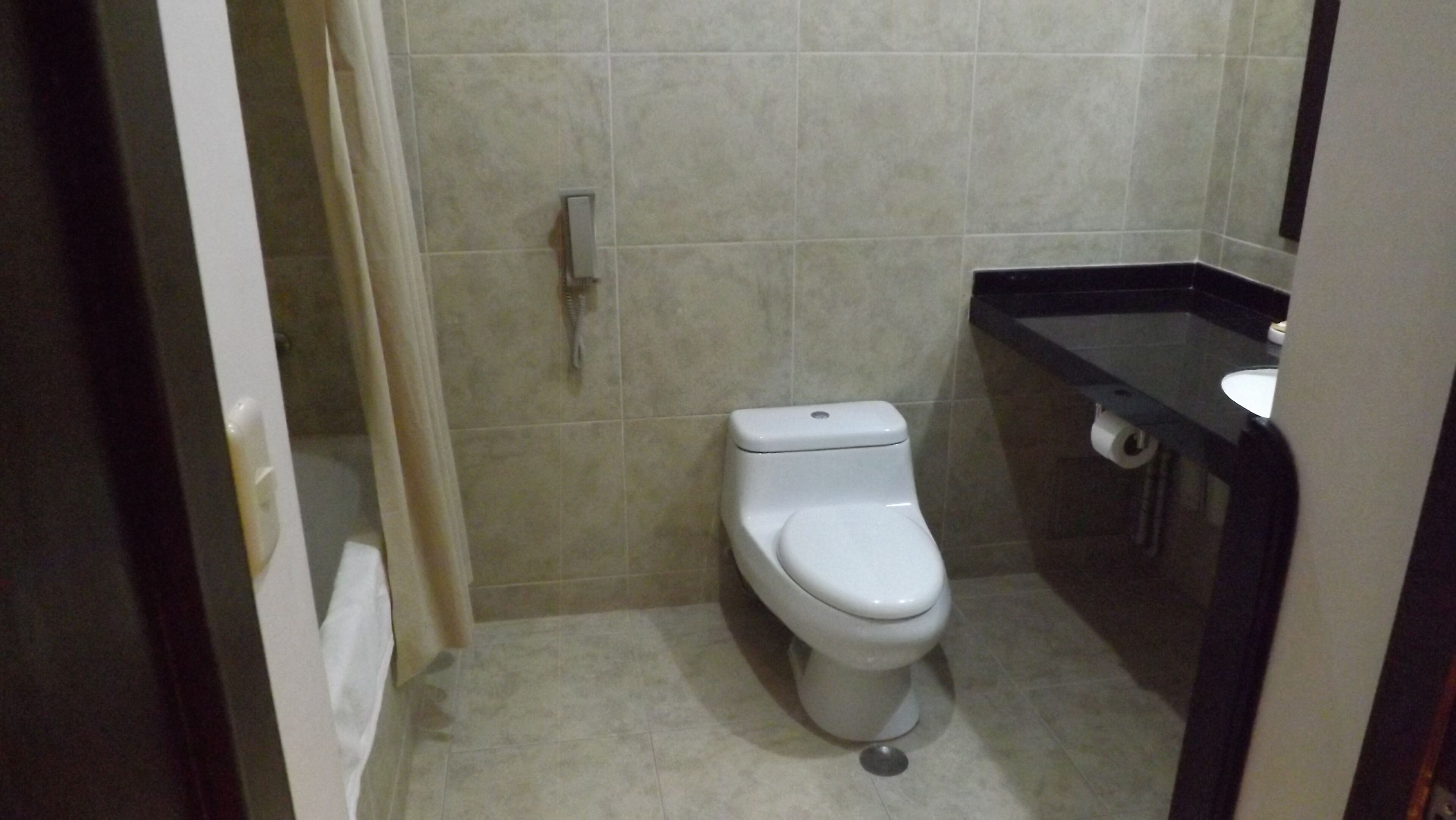 A small bathroom with a toilet, a sink, and a shower curtain.