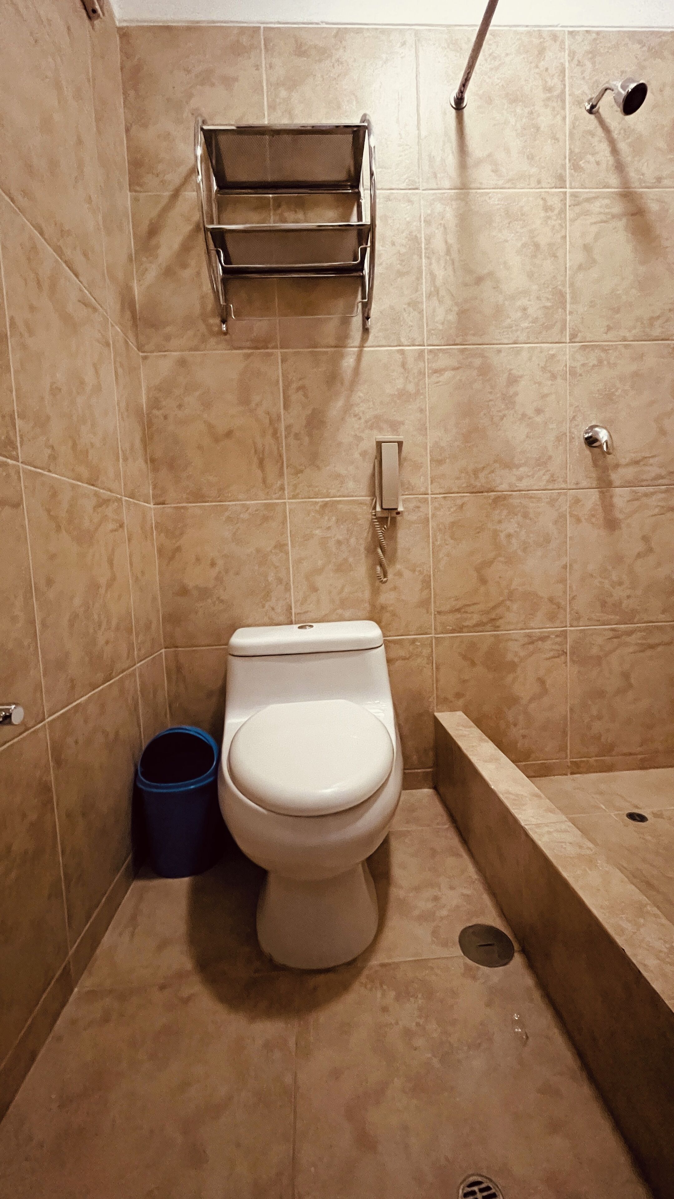 A small bathroom with a toilet, a shower, and a towel rack.