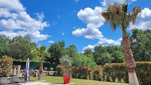 An outdoor area with a clear blue sky, palm trees, and a red planter.
