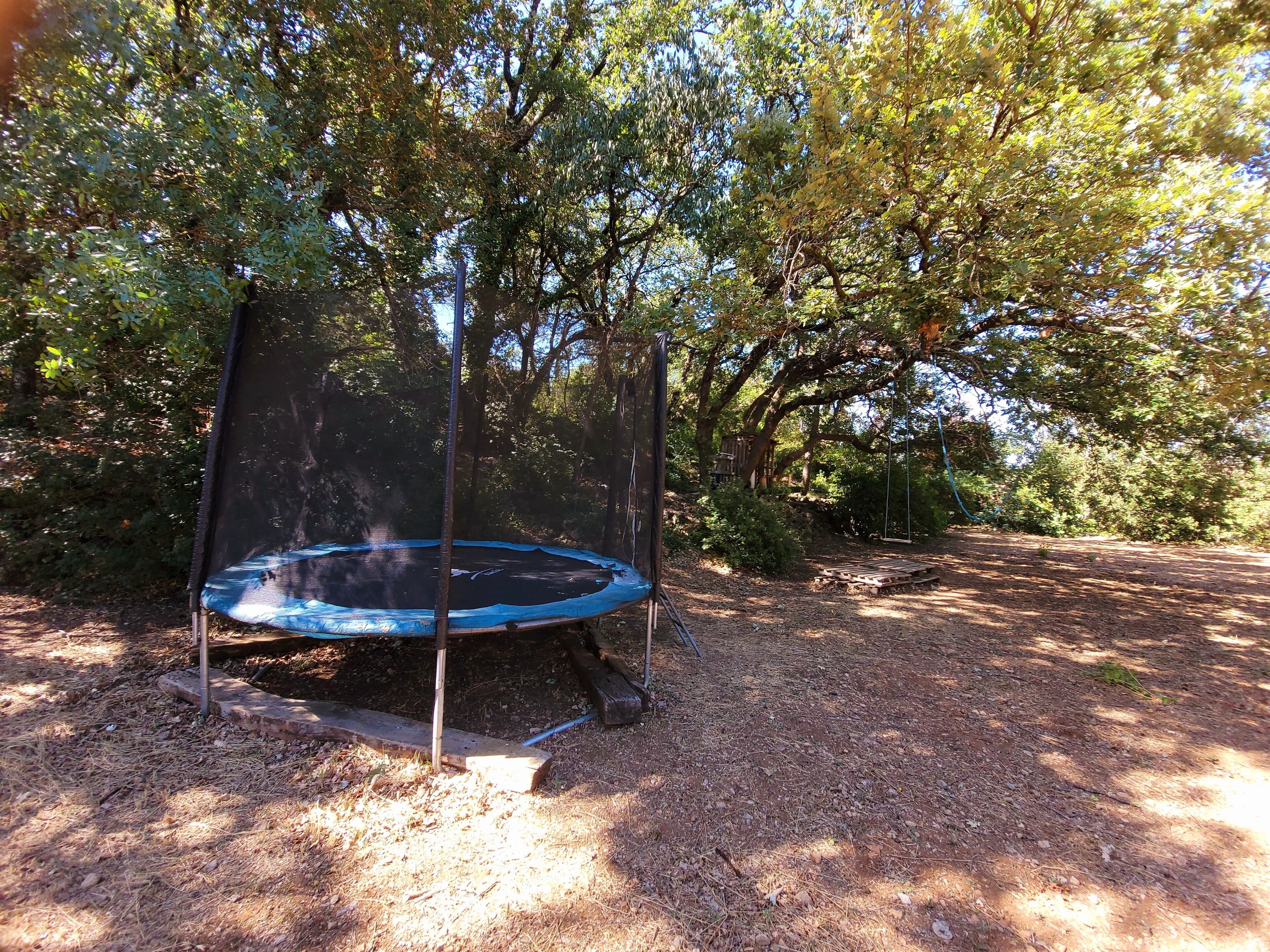 Un trampoline installé dans un espace boisé, entouré d’arbres, avec une balançoire en arrière-plan.