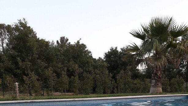 A poolside table with a plate of fruit, two drinks, and small bowls of condiments.
