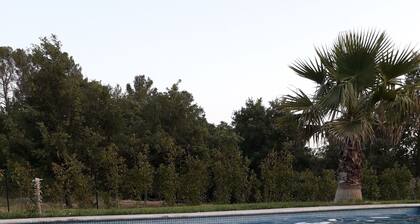 Villa Les Palmiers Logement sur Besse sur Issole 2 Lits 4 voyageurs Piscine