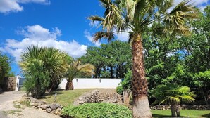 A landscaped garden with palm trees, a stone wall, and a white building in the background.