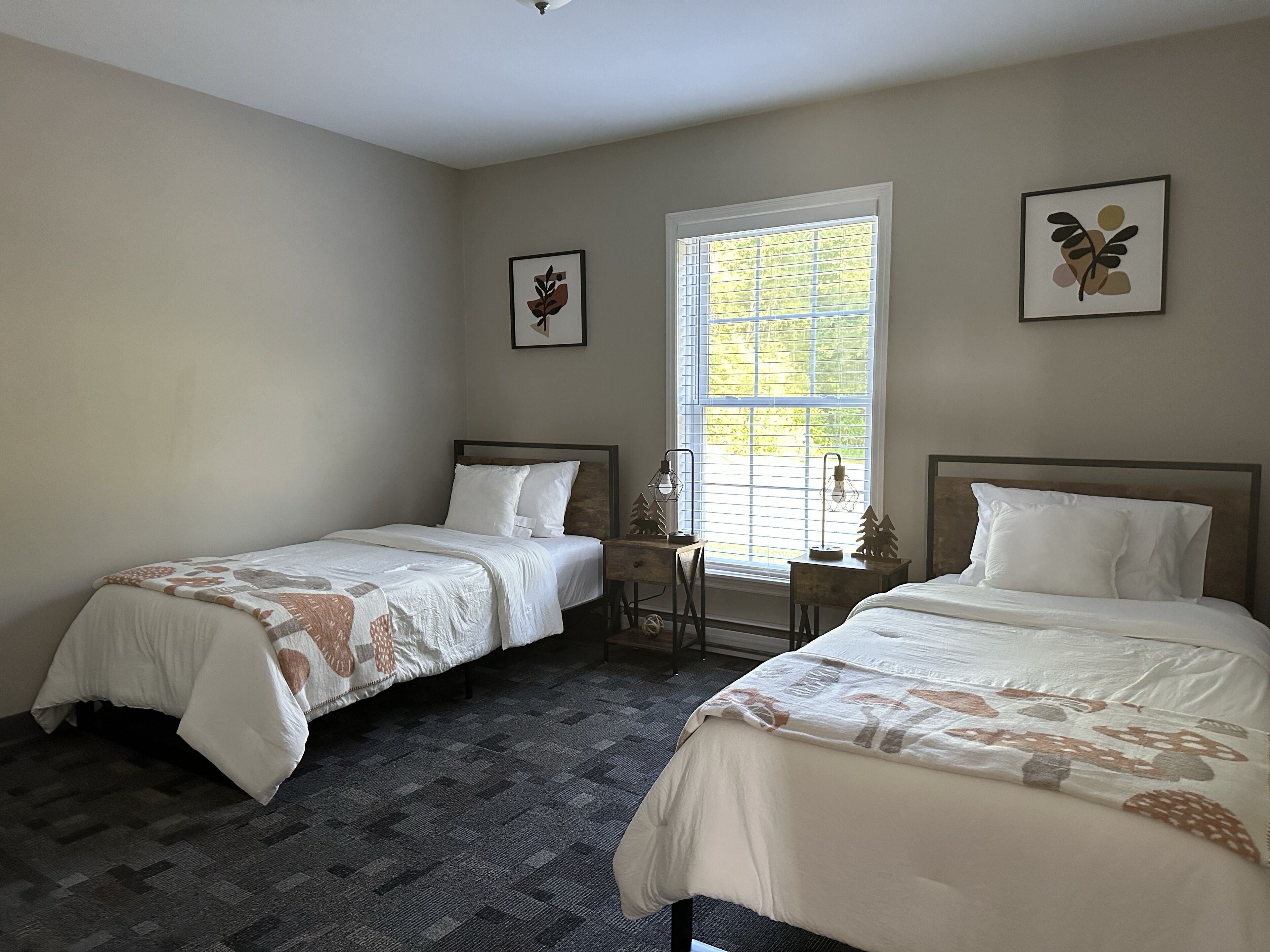 2 habitaciones, tabla de planchar con plancha y wifi gratis 