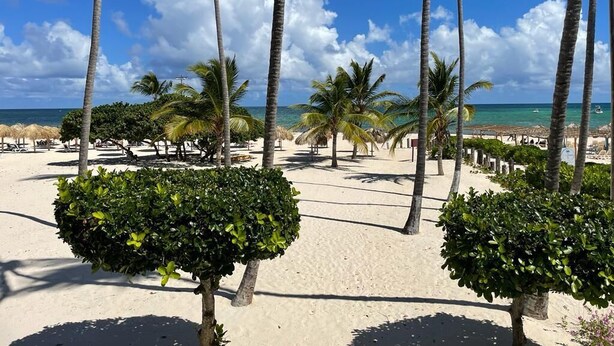 A beach with palm trees, a sandy area, and a clear blue sky. - I 203, Stanza Mare, 2 bed, Private Beach, Bavaro , Punta Cana, 24 hrs security
 (Bavaro)