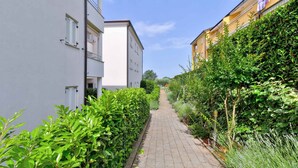 Un étroit sentier bordé d’une végétation luxuriante et de bâtiments modernes.