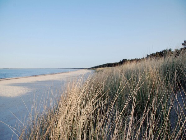 A beach with sand and tall grass in the foreground.
