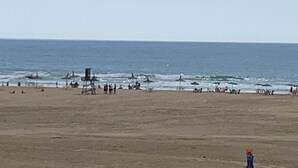 Ein Strand mit Sonnenschirmen und Menschen.