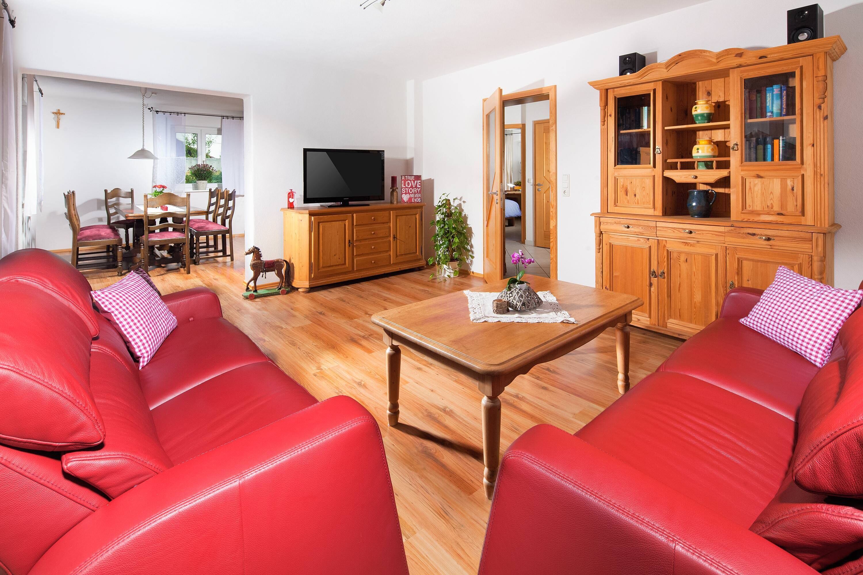 DVD player, table tennis