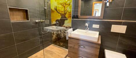 Shower, hair dryer, towels