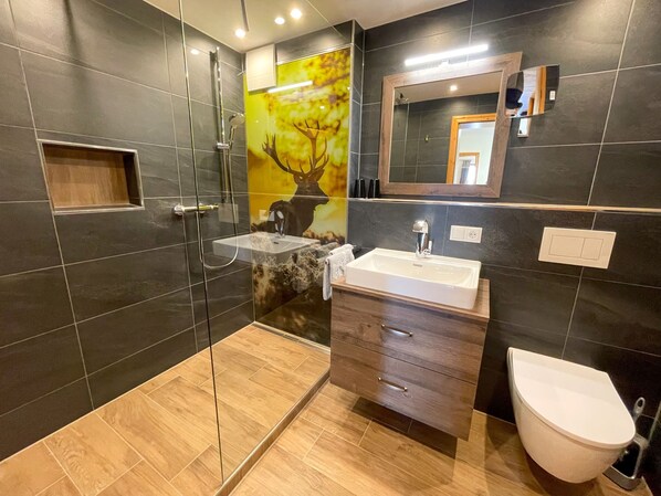 Shower, hair dryer, towels