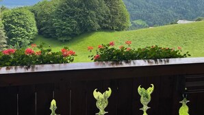 A balcony with a view of a green landscape, including trees and a distant mountain range.