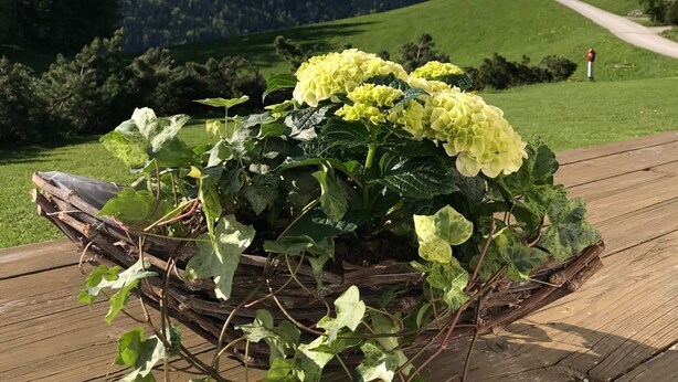 Eine Holzterrasse mit einem Korb voller gelber Hortensien und einer Bergkulisse im Hintergrund.