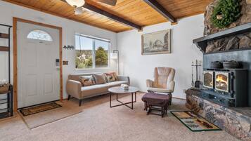 Basic Cabin | Living area | DVD player