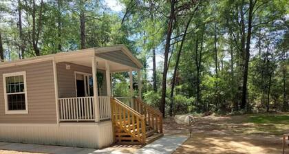 My Little Cabin in the Woods