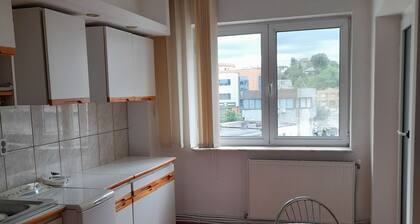 Spacious 4 rooms downtown apartment in Pitesti
