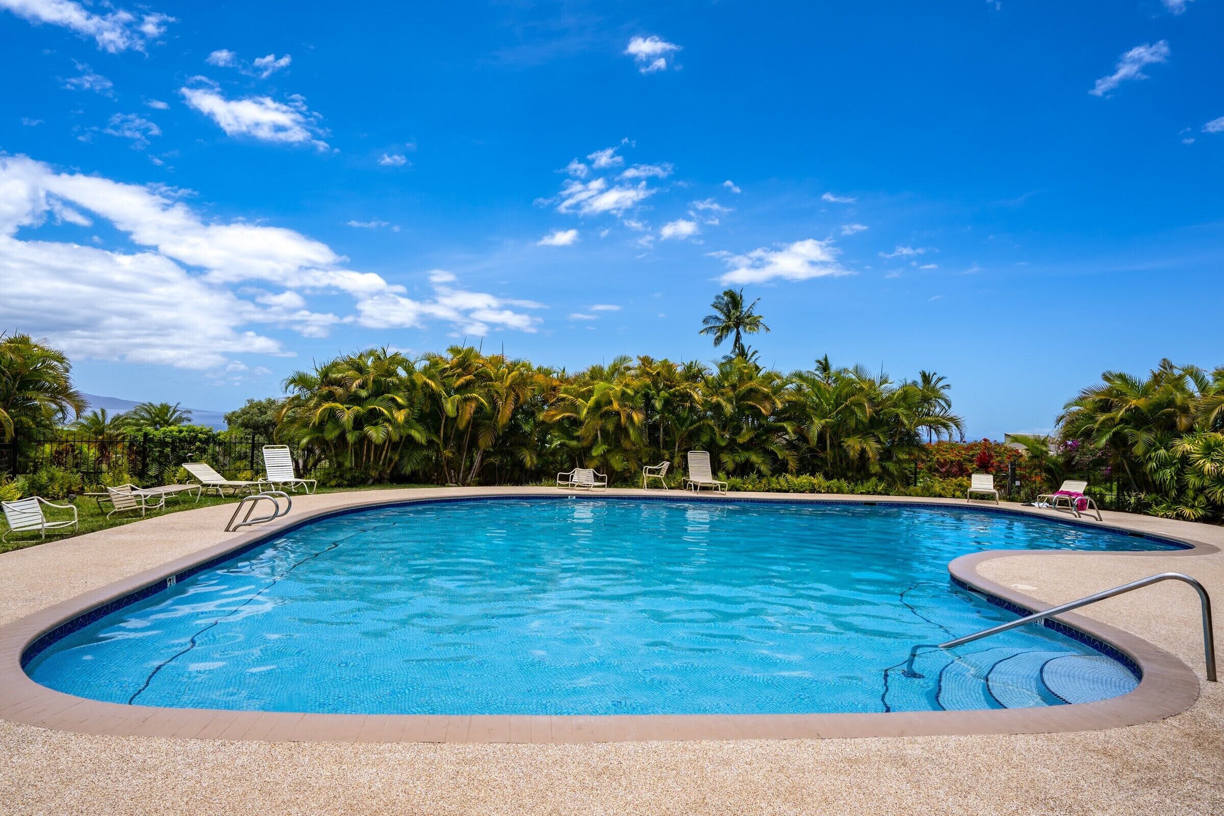 Outdoor pool, pool umbrellas, pool loungers