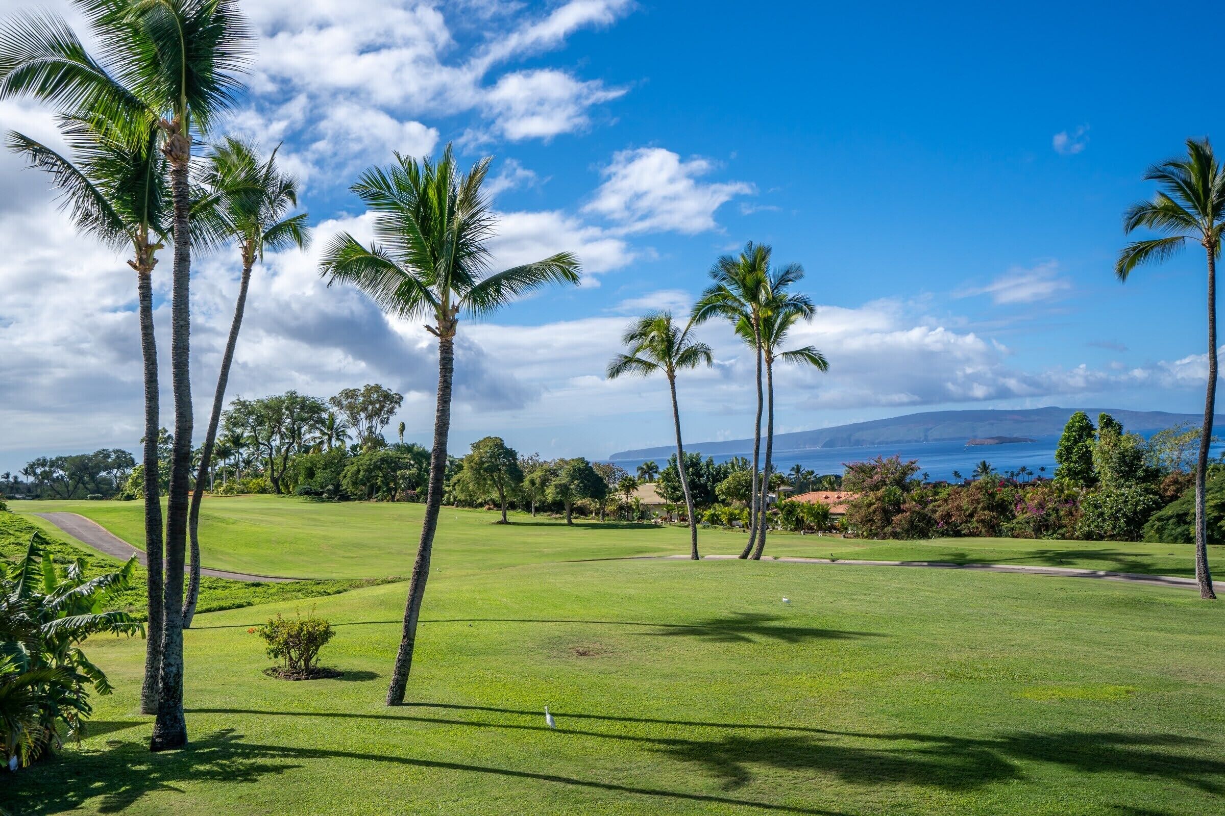 A golf course with palm trees and a view of the ocean.