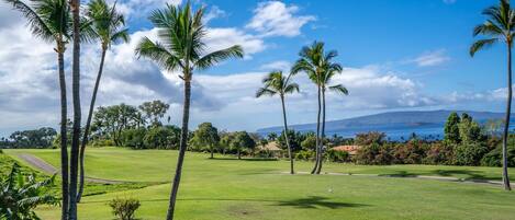 A golf course with palm trees and a view of the ocean.