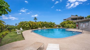 Outdoor pool, pool umbrellas, pool loungers