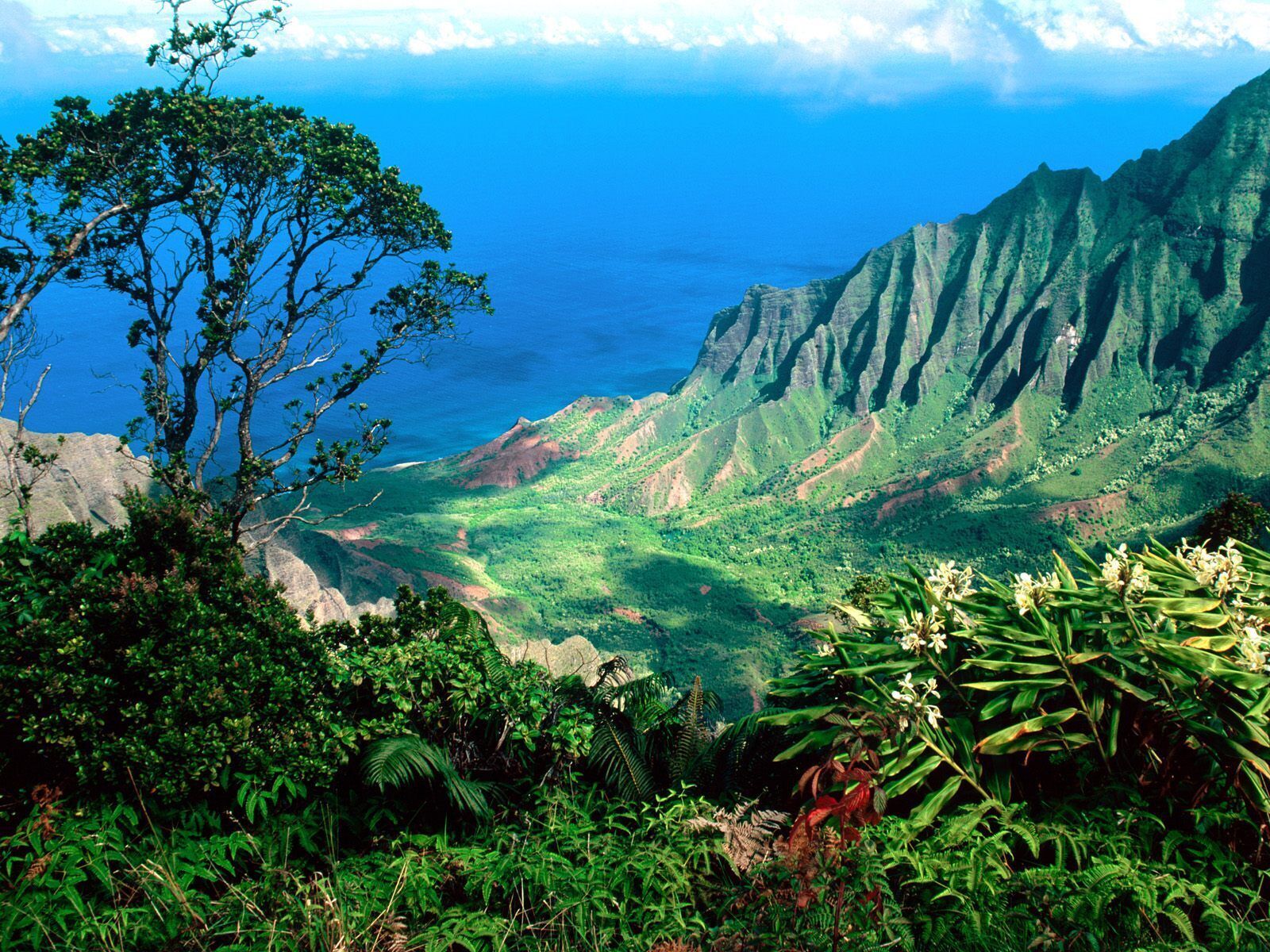 Un paysage montagneux, caractérisé par une végétation luxuriante et une vue sur l’océan.