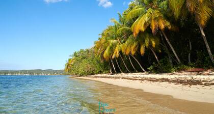 Beau Studio Équipé Dans un Complexe Hôtelier de Standing