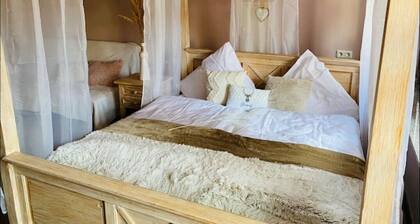 Farm with own pony (2)