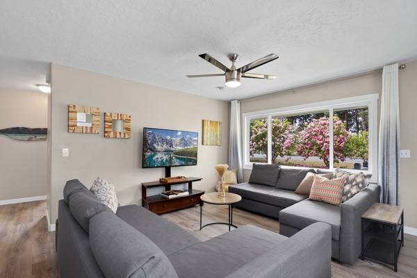 Smart TV, DVD player, books, video library