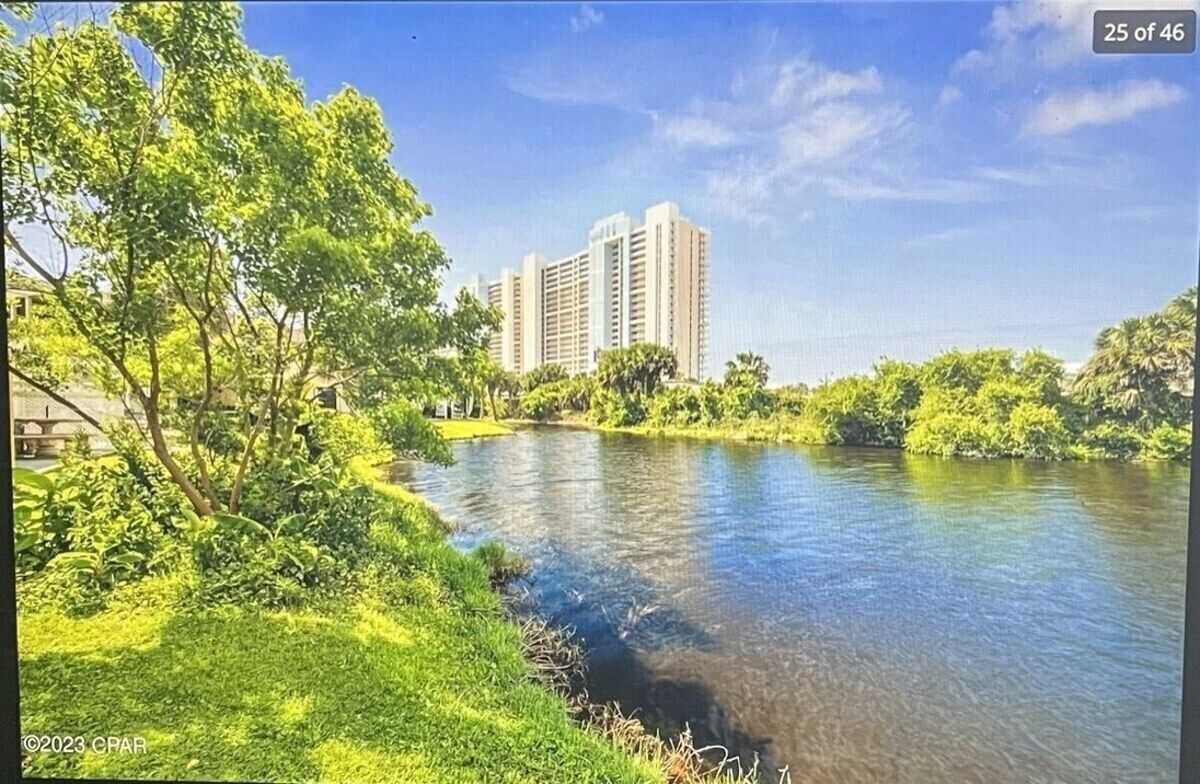 Un río con abundante vegetación y un edificio alto al fondo.