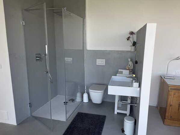 Hair dryer, bidet, towels, soap - Country house on Monte Maderno with 260* lake view on 15000 square meters of parkland (Toscolano Maderno)