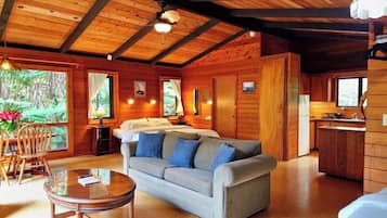 Smart TV, chimenea y libros