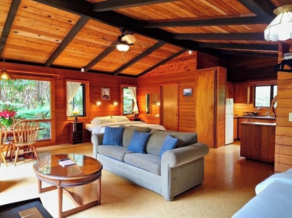 Smart TV, fireplace, books - The Pacifica Inn/ The Volcano Room (Volcano)