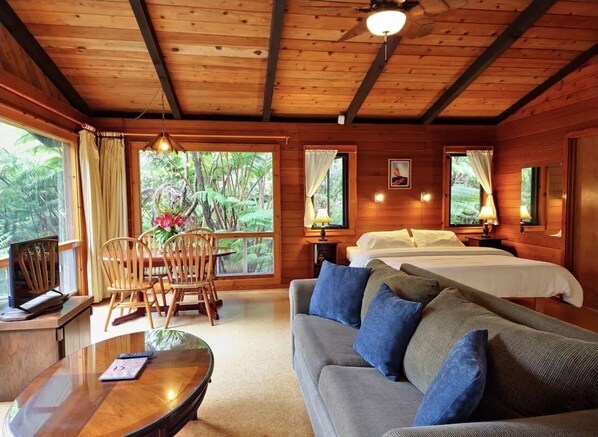 Smart TV, lareira, livros