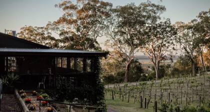 Sunset Vine at Wonganella Estate 2 by Tiny Away