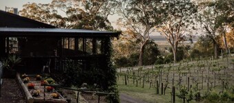 Sunset Vine at Wonganella Estate 2 by Tiny Away