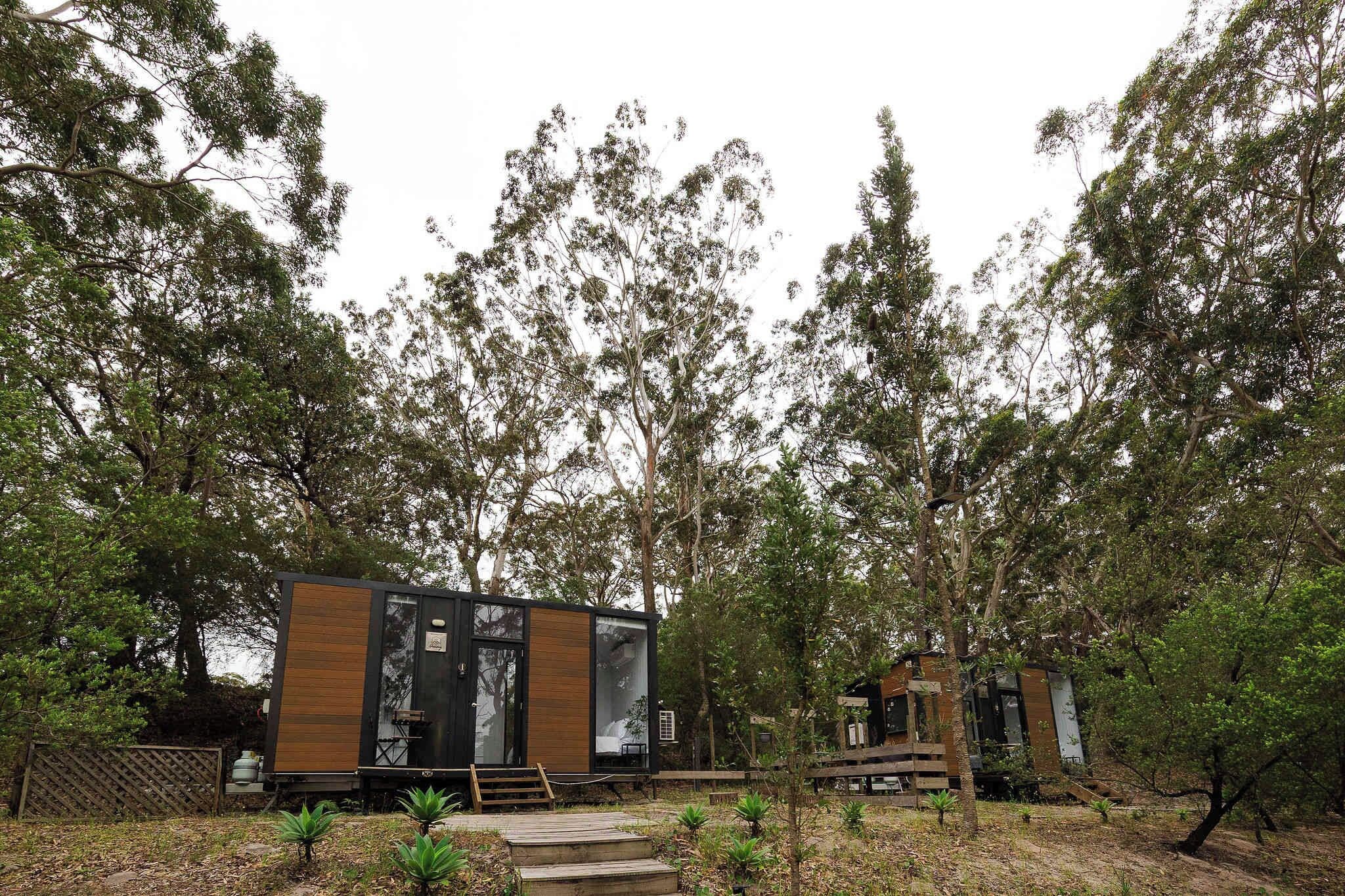Um edifício moderno em estilo de cabana, rodeado por uma floresta densa.