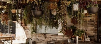 Sunset Vine at Wonganella Estate 2 by Tiny Away