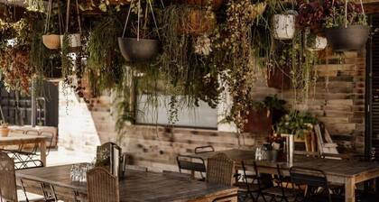 Sunset Vine at Wonganella Estate 2 by Tiny Away