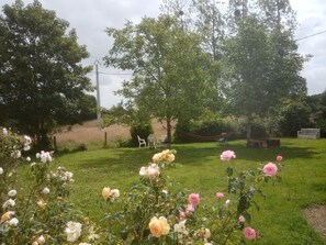 Ein Garten mit verschiedenen blühenden Pflanzen und Bäumen.