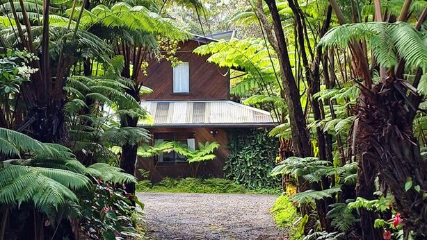 A house surrounded by dense green foliage, with a gravel path leading to the entrance. - The Pacifica Inn/ 
The Gecko Room (Volcano)