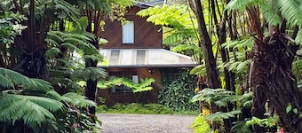 The Pacifica Inn The Gecko Room