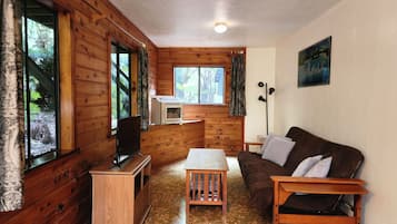Smart TV, chimenea, reproductor de DVD y libros