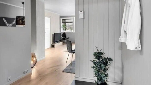 A hallway with a wooden floor, a potted plant, a coat rack, and a chair in the background.