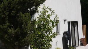 Un bâtiment moderne avec une façade blanche, deux fenêtres à encadrement noir et une porte.