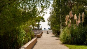 Un sentier bordé de verdure, avec un banc, qui mène à un point d’où l’on peut apercevoir au loin des personnes et un bâtiment.