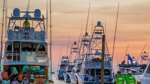 A marina with multiple boats docked, including a prominent boat named 'Marlin Darlin'.
