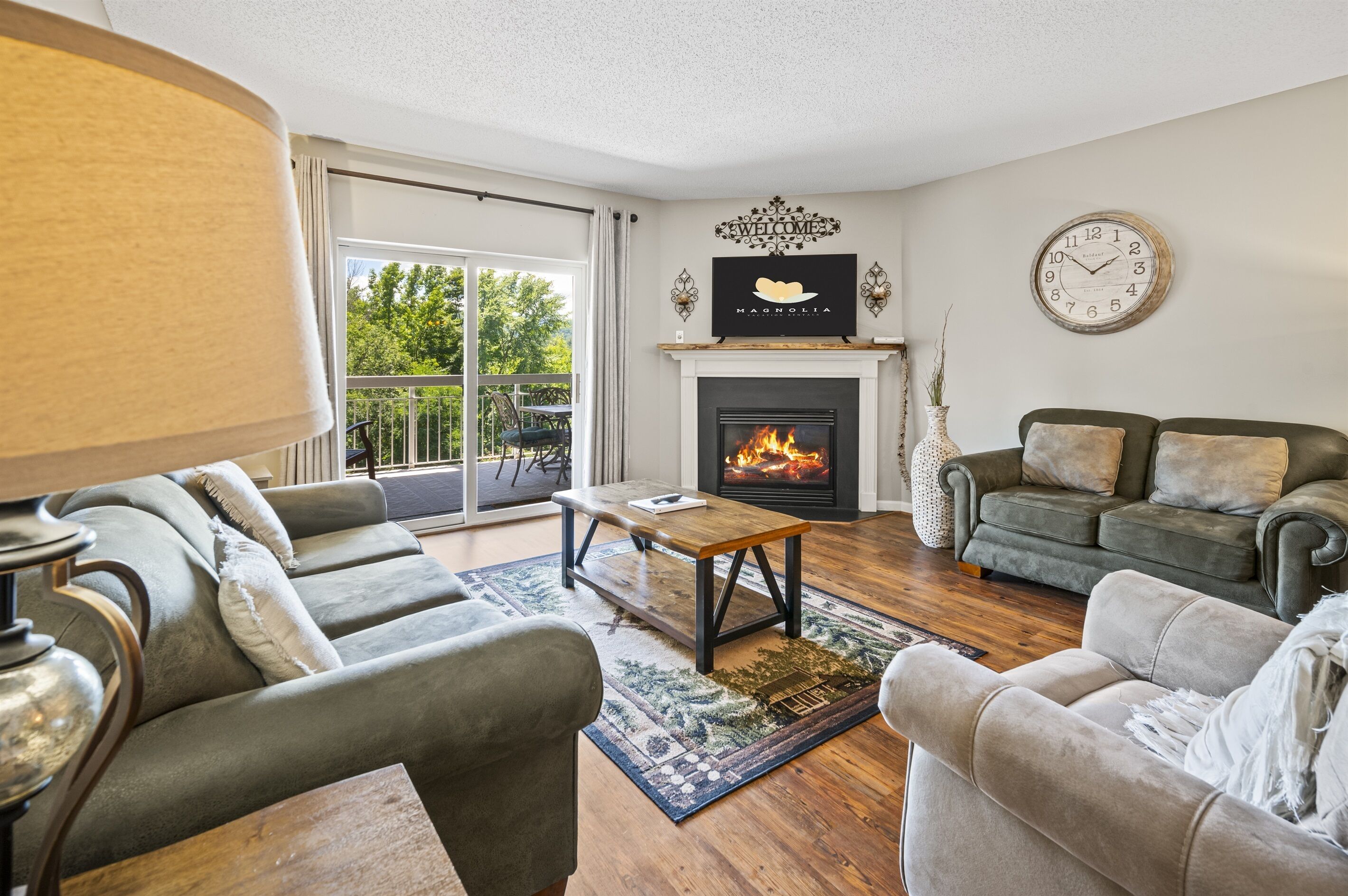 智能电视、壁炉、DVD 播放器