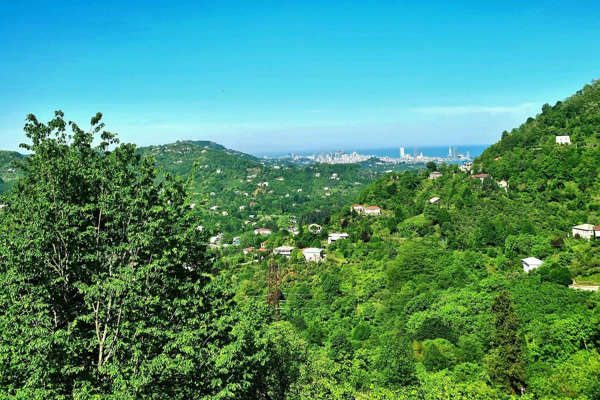 Un paisaje verde exuberante con edificios dispersos y un cielo azul despejado.